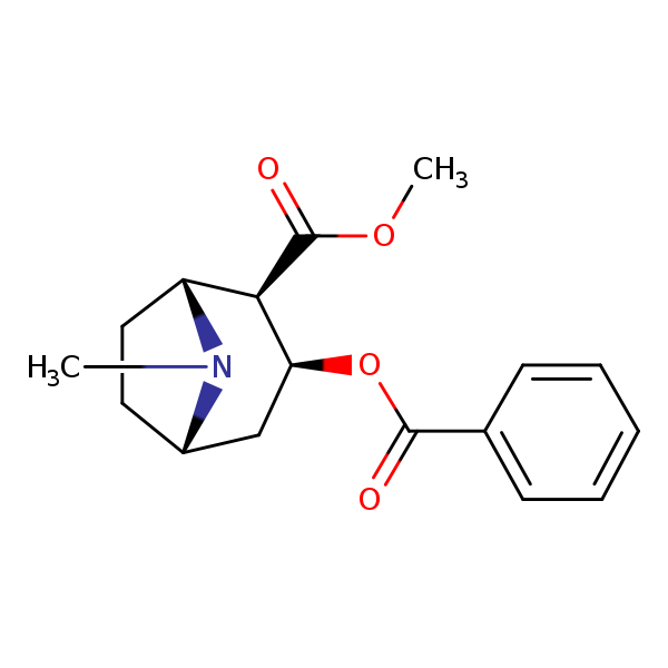 Structural image of Cocaine