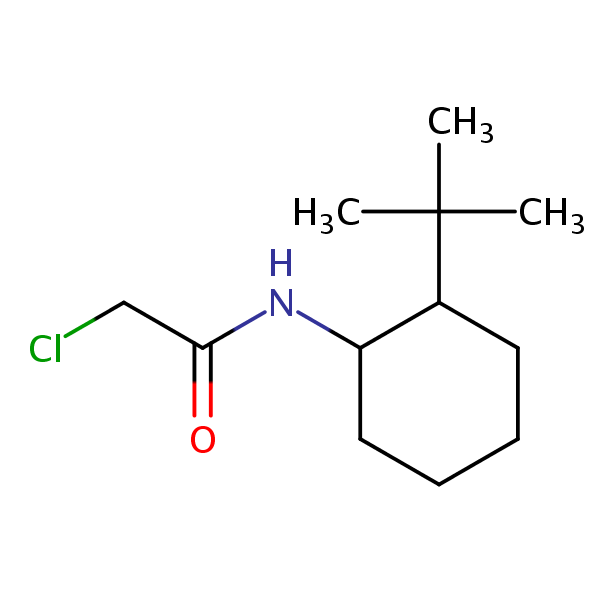 Structural image of N-(2-tert-Butylcyclohexyl)-2-chloroacetamide