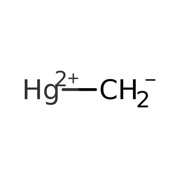 Methylmercury (MeHg)